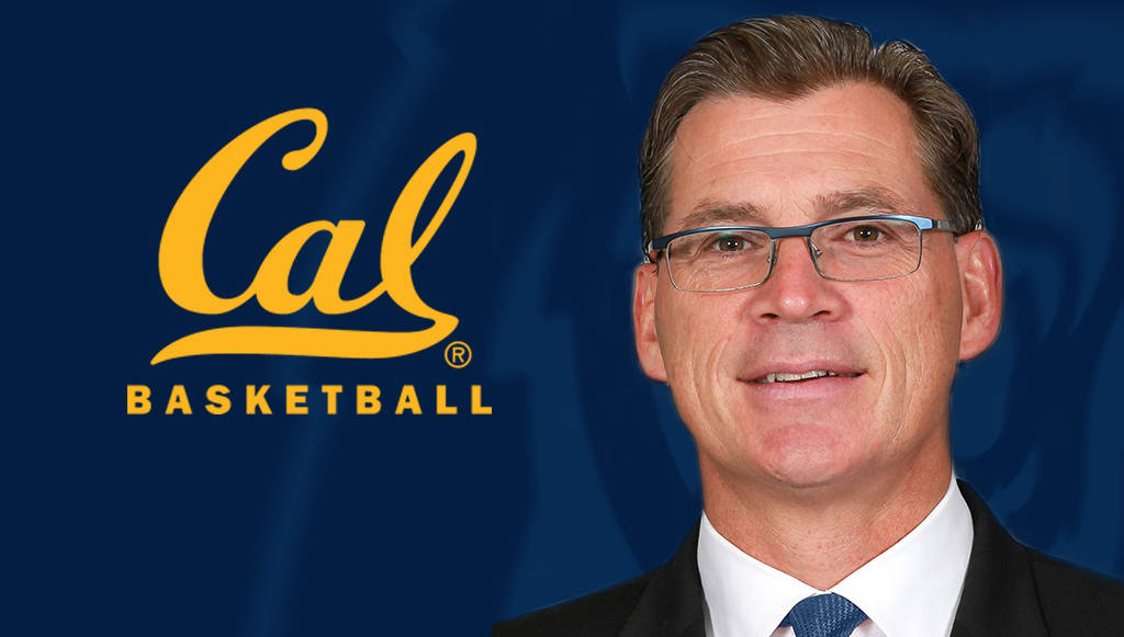 Tim O'Toole Elevated to Associate Head Basketball Coach at Cal HoopDirt