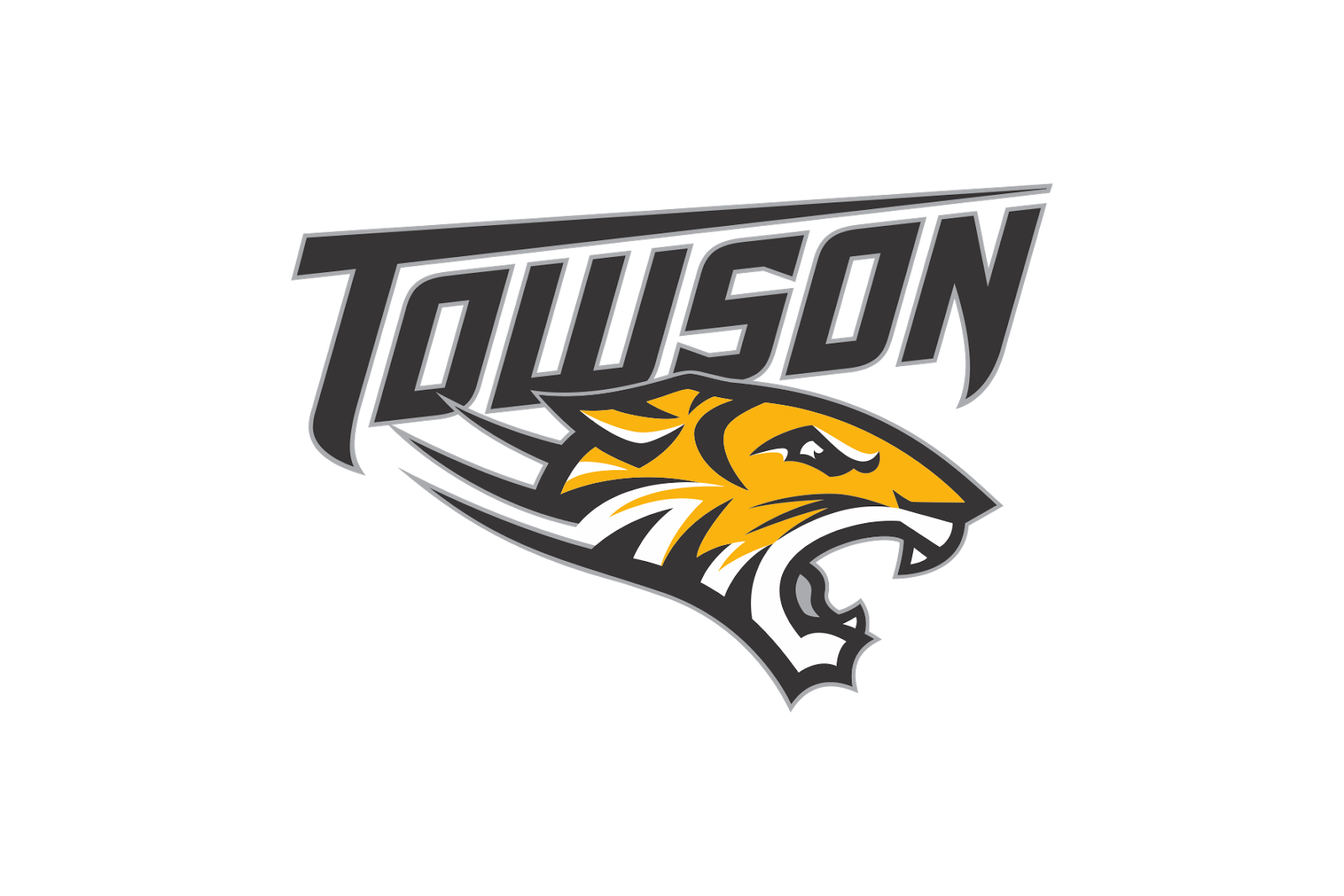 Director of Student-Athlete Development, Men's Basketball - Towson ...