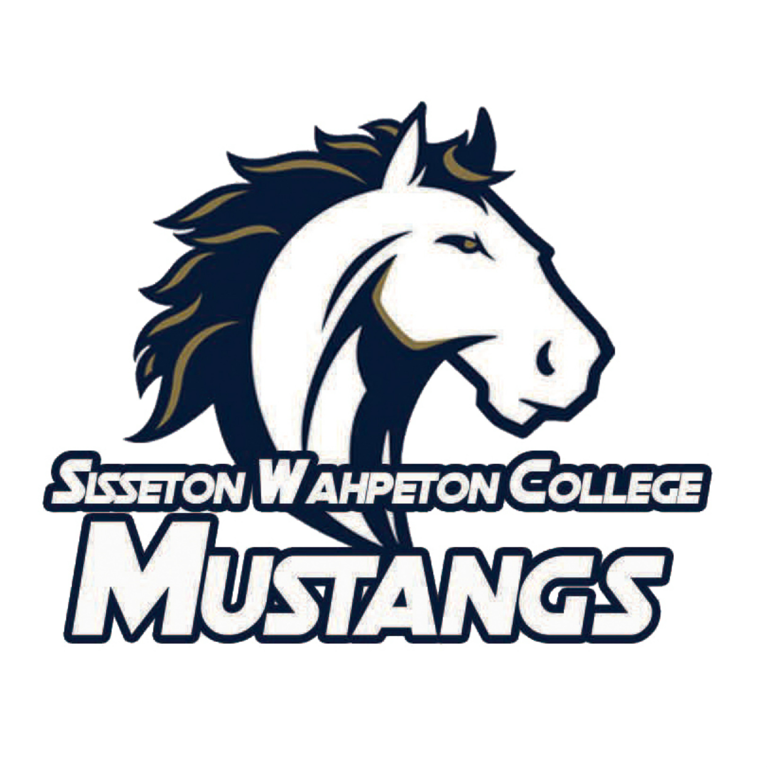 Assistant Men's Basketball Coach Sisseton Wahpeton College HoopDirt