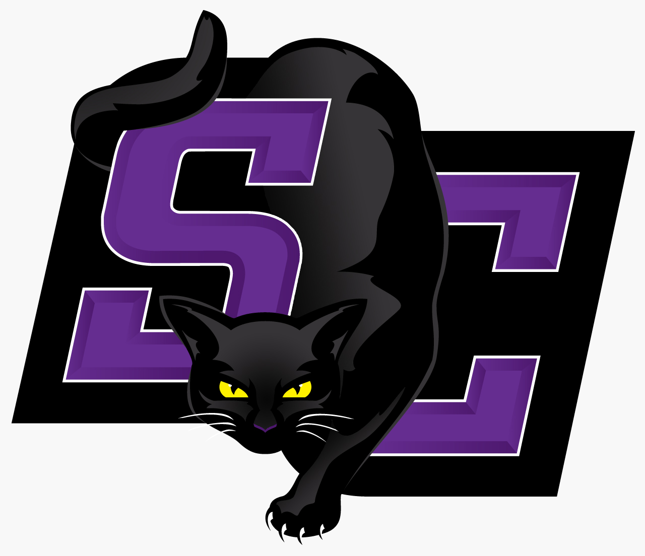 Men s Basketball Graduate Assistant Southwestern College KS HoopDirt Men s Basketball Graduate Assistant Southwestern College KS HoopDirt