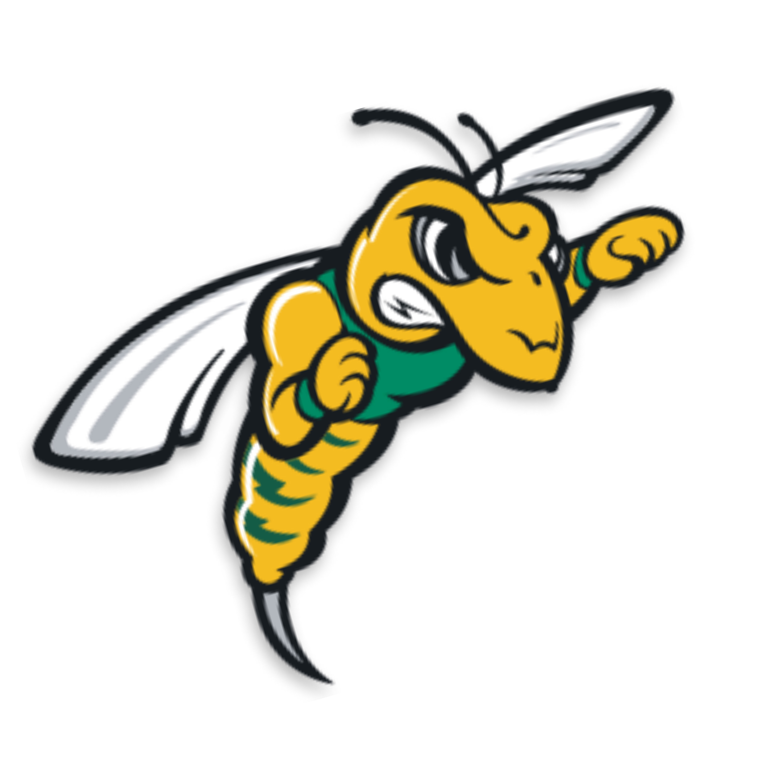 Men's Basketball Graduate Assistant - Black Hills State University ...