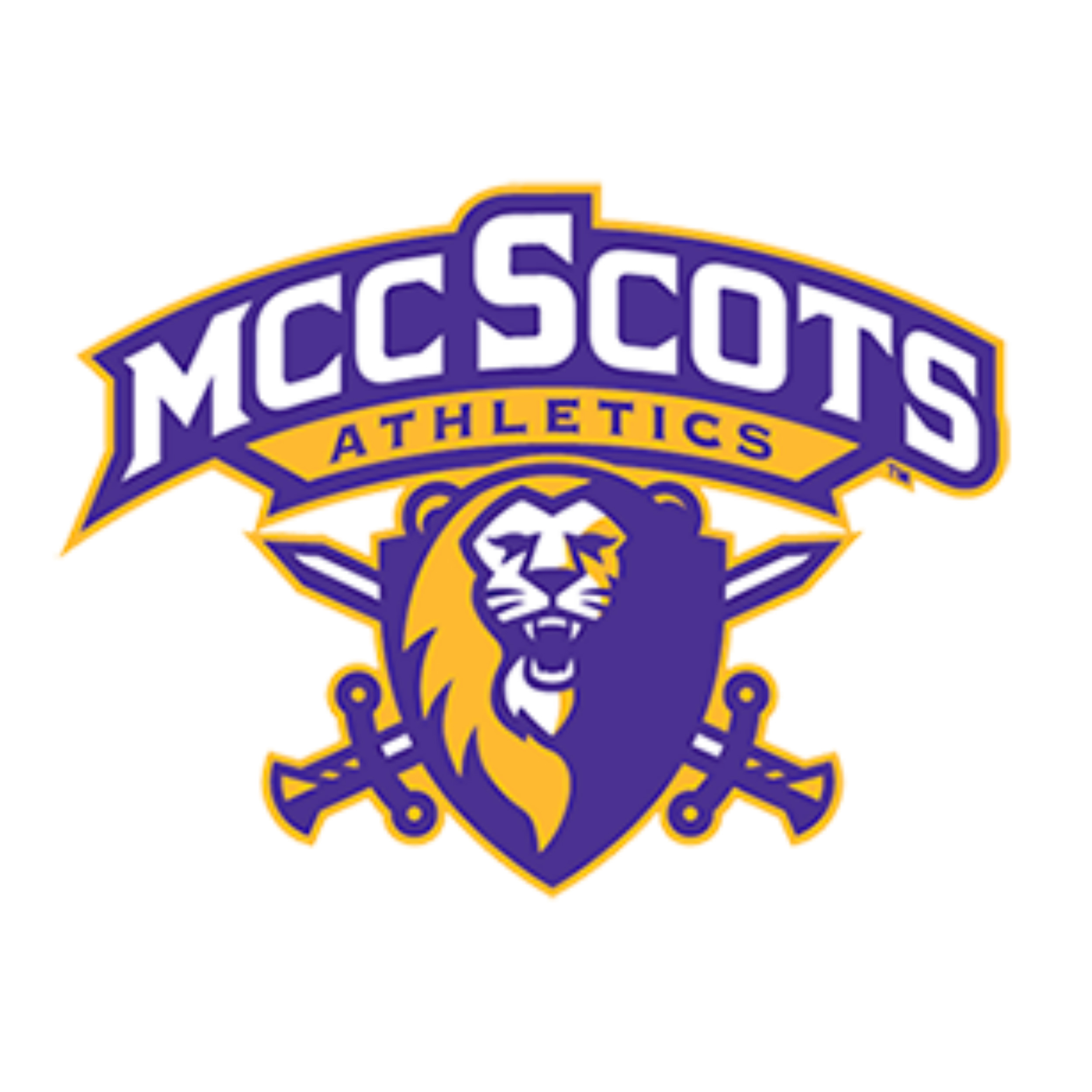 Head Men's Basketball Coach McHenry County College HoopDirt
