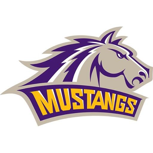 western new mexico university basketball roster