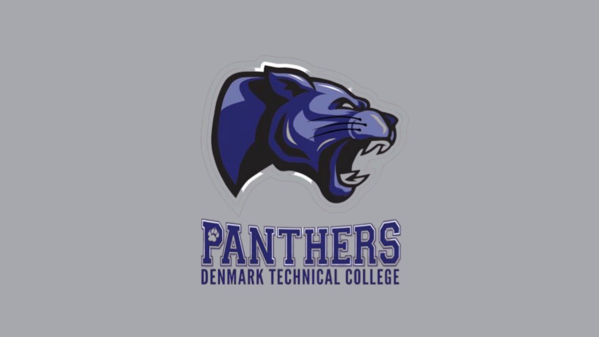 2018-2019 Panthers Basketball Schedule - Denmark Technical College