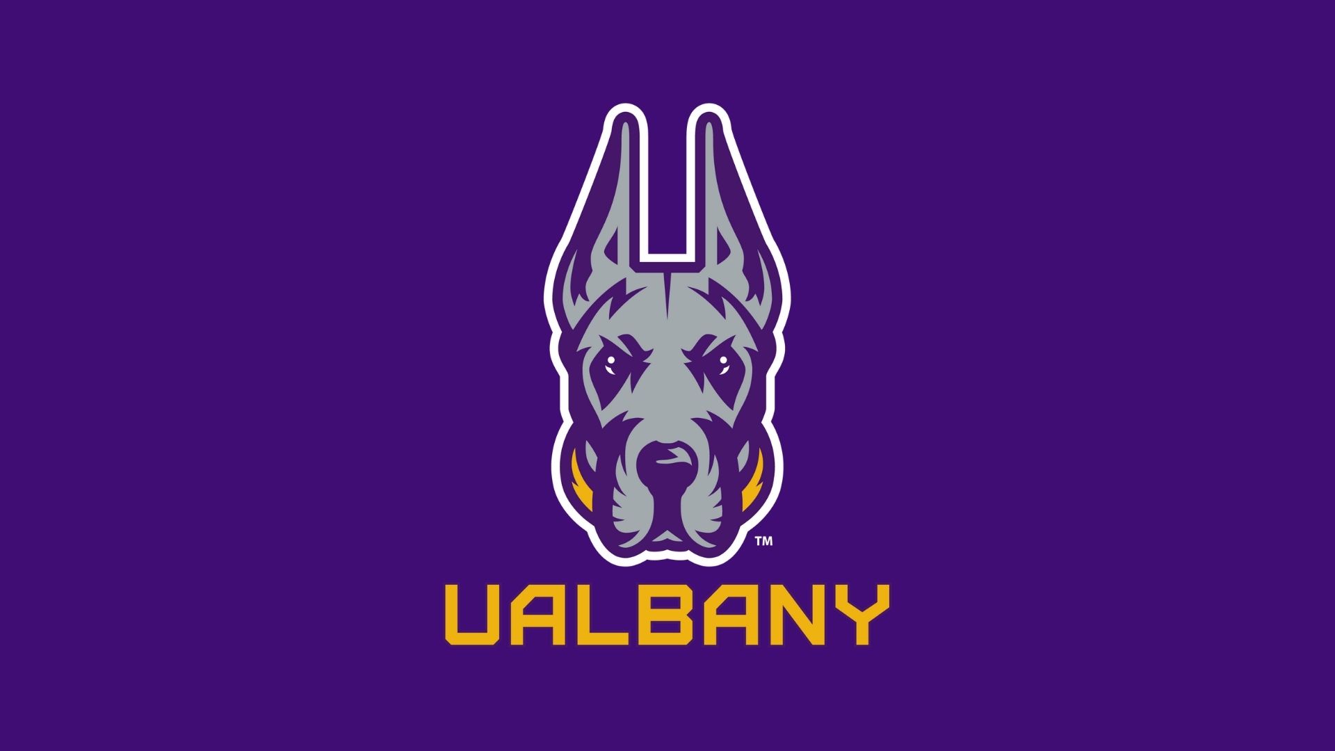 Albany #39 s Killings on leave pending investigation HoopDirt