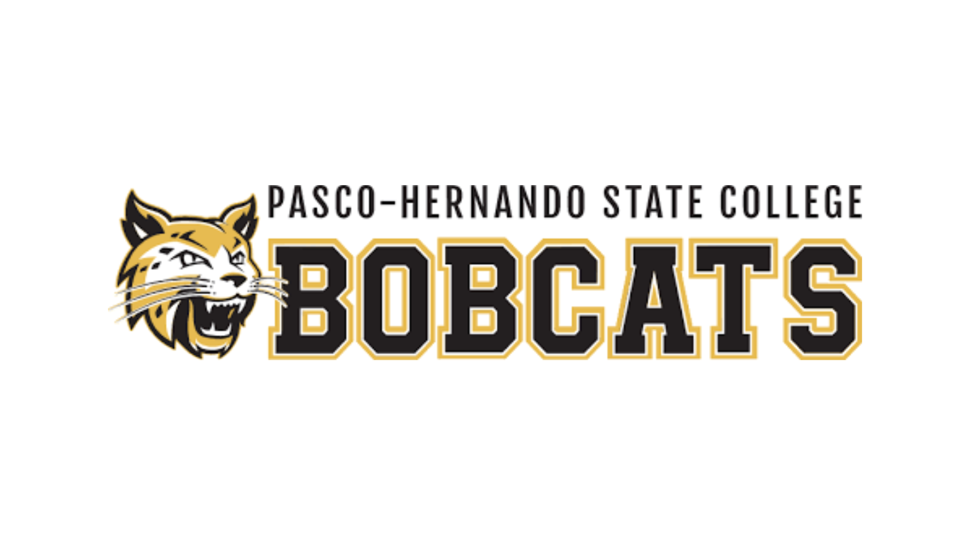 Behm named Head Basketball Coach at PascoHernando State College HoopDirt
