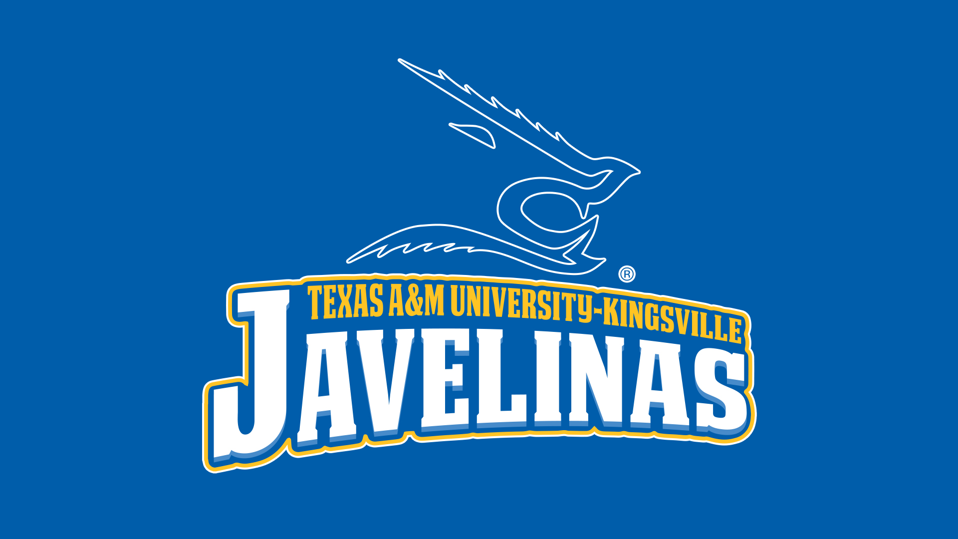 Texas A&M Kingsville Javelinas lose first game this season to