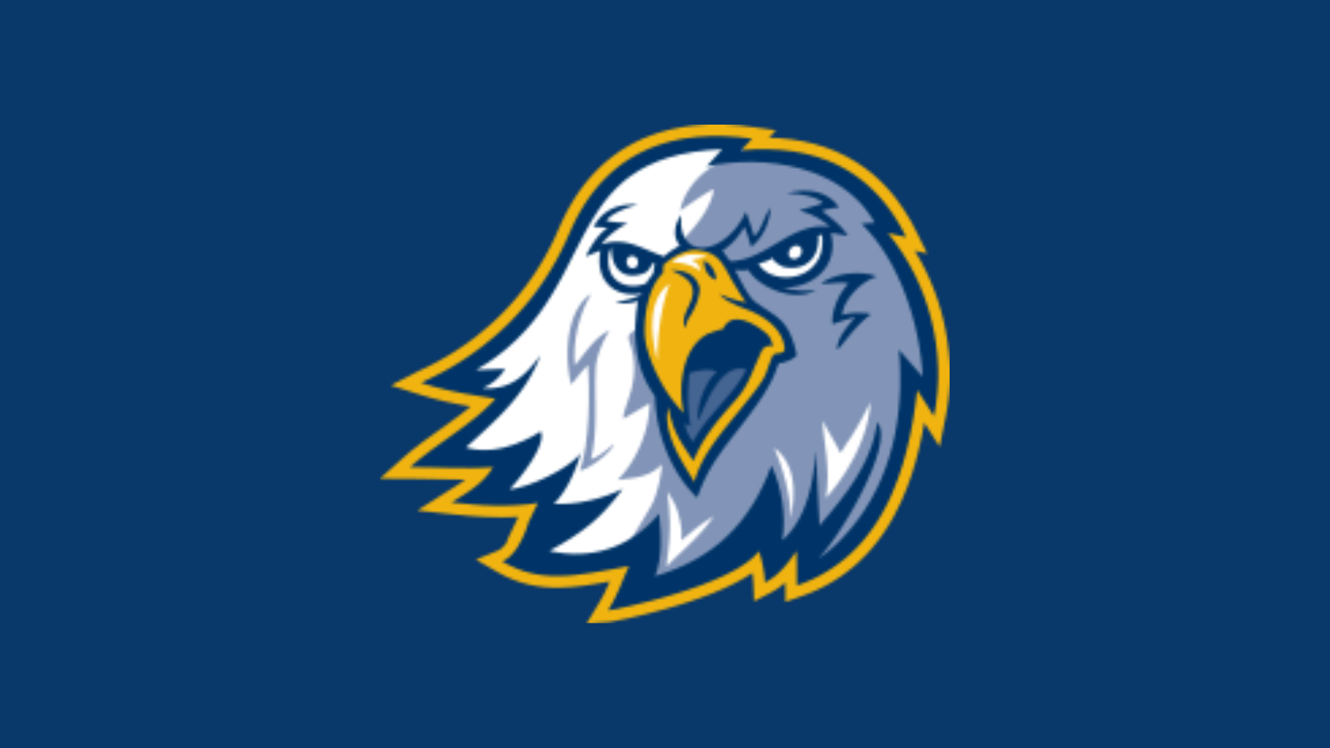 naia-news-reinhardt-men-s-basketball-staff-update-hoopdirt