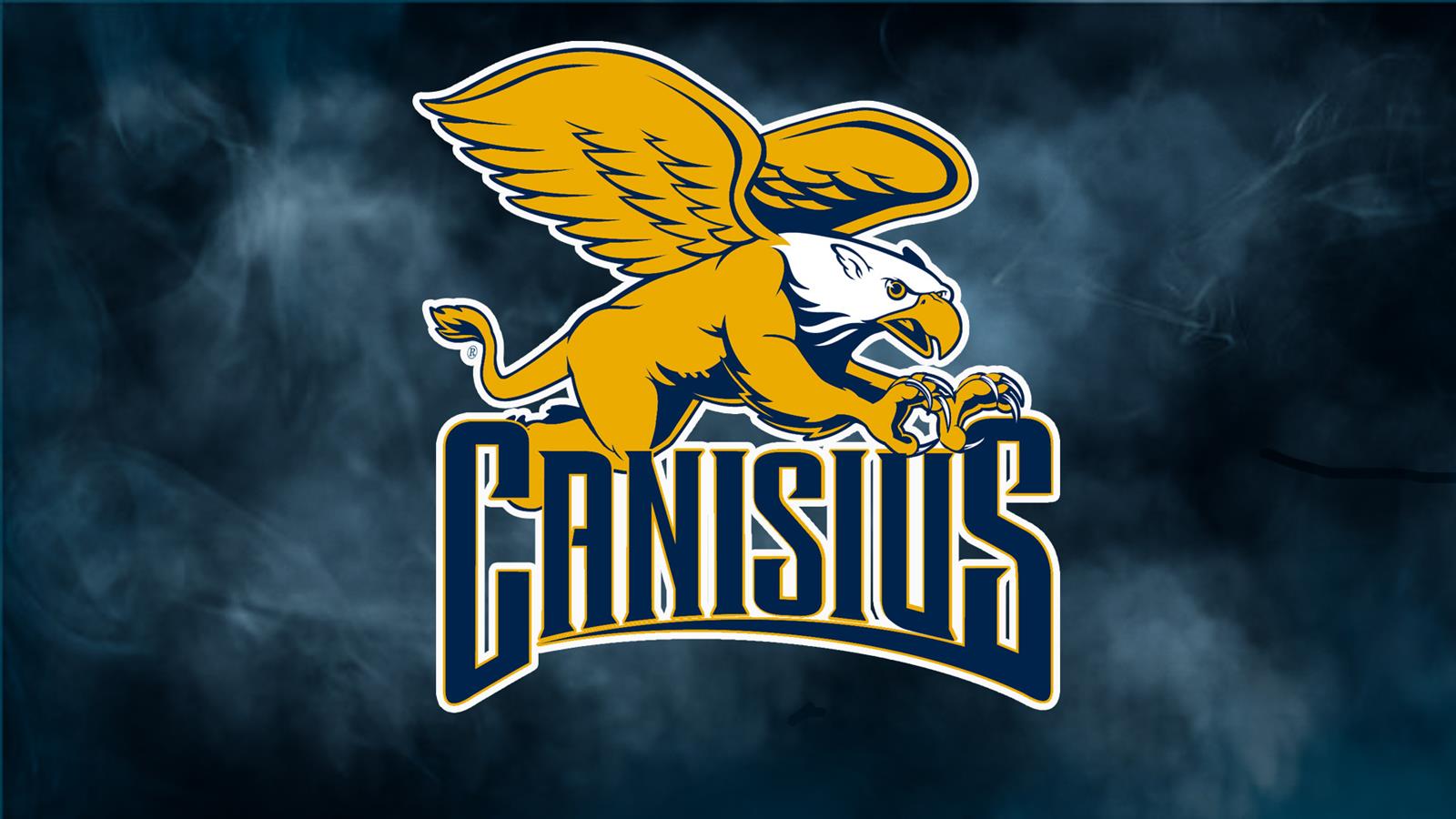 Canisius University Parts Ways with Head Coach Witherspoon: Search for New Basketball Coach Begins