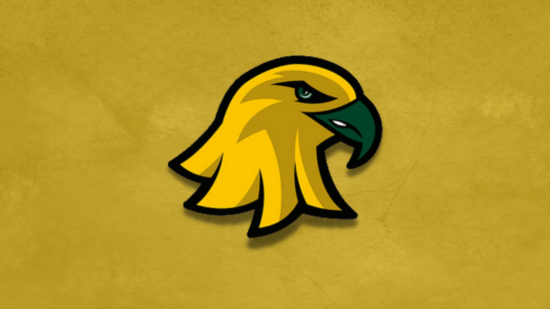 Joe Clarke Promoted to Head Basketball Coach at SUNY Brockport: Success Story Unveiled