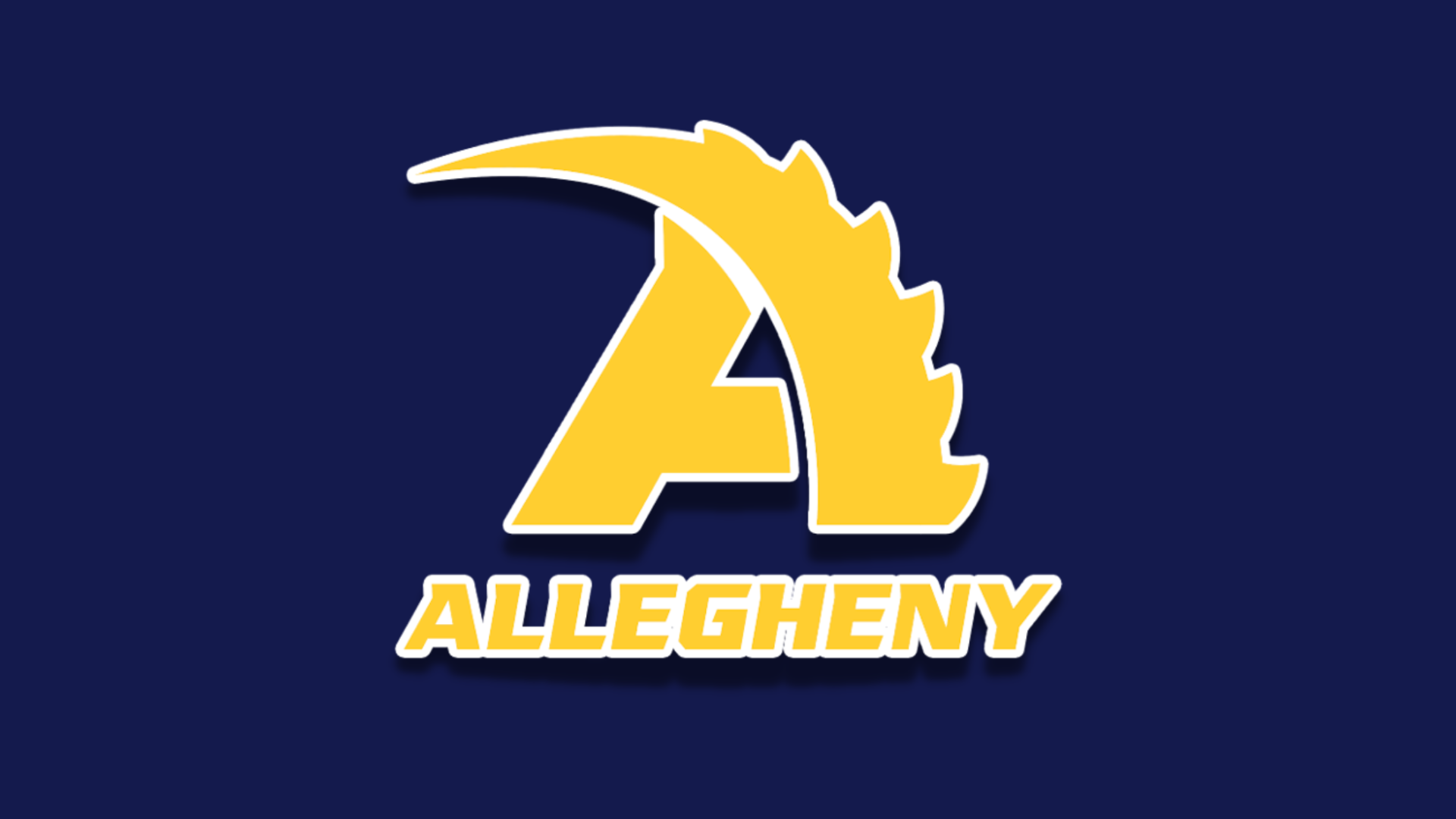 Pat Sullivan named Head Coach for Men’s Basketball at D3 Allegheny College