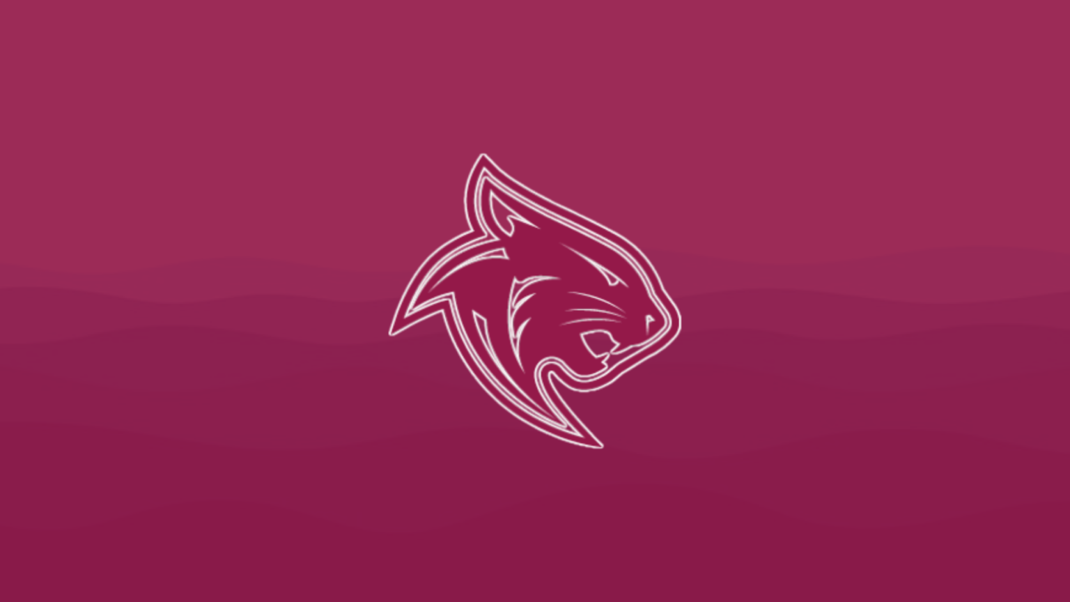 official-marian-s-pat-knight-resigns-hoopdirt